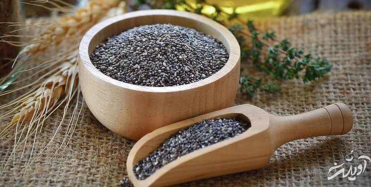 اگر مدام احساس گرسنگی میکنید، این هفت ماده غذایی را بخورید